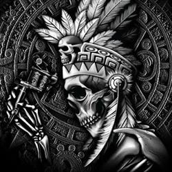 TRIBAL studio