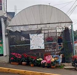 The Garden Shop Xalapa