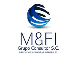 M & F I Grupo Consultor