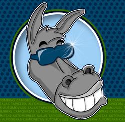 Donkey's Car Wash