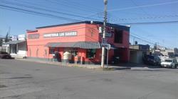 Ferretería Los Sauces SA de CV