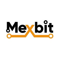 Electronica Mexbit
