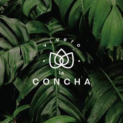 viverolaconcha