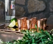 Charola con Set de Shot Tequileros