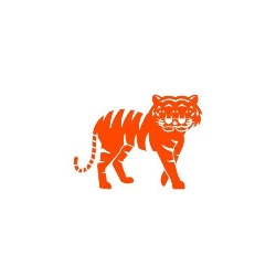 TigreTigre  Sake&Food  Torre Avancer