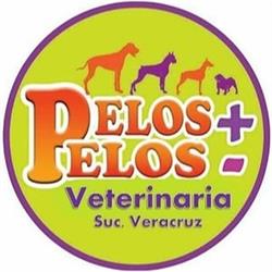 Clinica Veterinaria Pelos + Pelos -