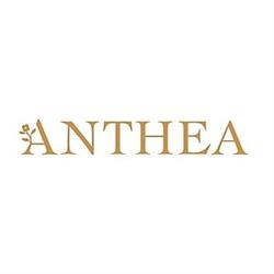 Anthea Body Shaping