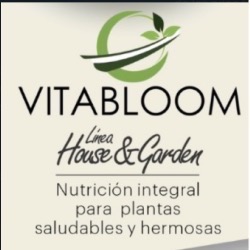 VITABLOOM MORELOS COYOACÁN