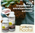 Rootsil