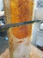 MIEL EN PANAL