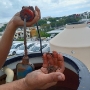 lavado de tinaco