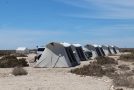 acampar en la laguna de san ignacio
