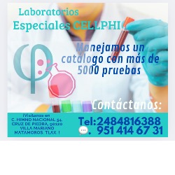 Laboratorio Clínico Cellphi