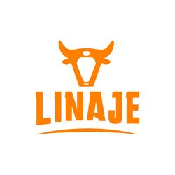 Linaje