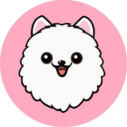 Xiaobai
