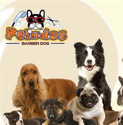 Peludos Barber Dog