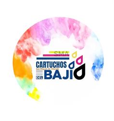 Cartuchos Compatibles del Bajio
