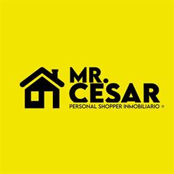 Mr. Cesar Shopper Inmobiliario