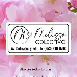 Colectivo Melissa