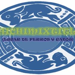 Consultorio Veterinario Chichimixtitla