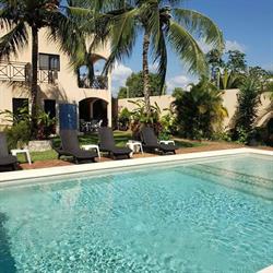 Coral Island Suites