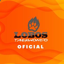 Escuela de Taekwondo Lobos Santa Julia