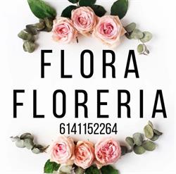Flora Floreria