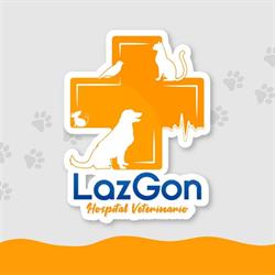 Veterinaria LazGon Actopan