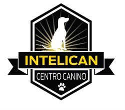 InteliCan