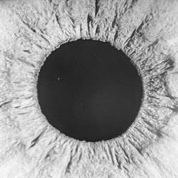 Optica de Jesús