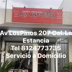 Mis Antojitos Villas de Ote.