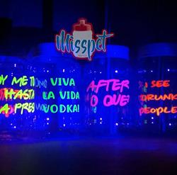 Misspet - termos y cilindros personalizados bodas xv años fiestas graduaciones promocionales