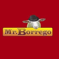 Mr. Borrego