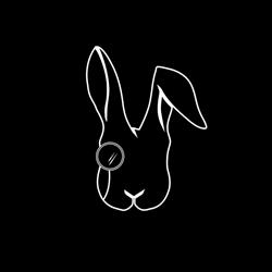 Rabbit Spk
