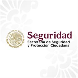 Secretaría de Seguridad y Protección Ciudadana Constituyentes