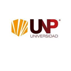Universidad de Negocios y Petróleo UNP