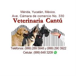 Veterinaria Cantú