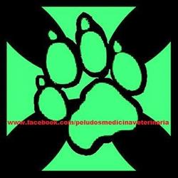 Clinica Veterinaria "P-lu-2"