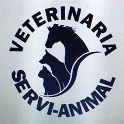 Veterinaria Servi-Animal