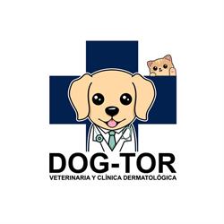 DogTor Cancún