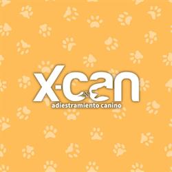 X-Can Adiestramiento Canino