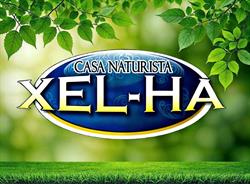 Casa Naturista Xel - Ha