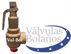 Valvulas Bolaños