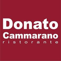 Donato Cammarano