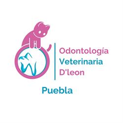 Odontologia Veterinaria D'leon - Puebla