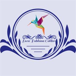 Loza Poblana Colibrí