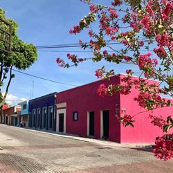 La CASA AZUL de Analco