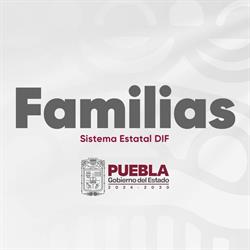 Sistema Estatal DIF de Puebla