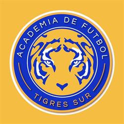 Academia Tigres Sur