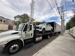 Gruas Leal